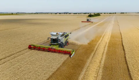 03.06.2025., Osijek - Zetva psenice i radovi na poljima Zito Grupe u Slavoniji. Žito grupa