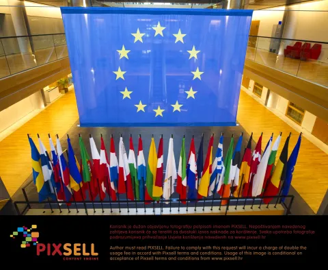 Strasbourg, France - February 05, 2020: German-French Parliamentary Assembly/Deutsch-Franz&ouml;sische Parlamentarische Versammlung with general Atmosphere and Flags. Flaggen, European Parliament. Europ&auml;isches Parlament. Flag, Drapeau, Flagge, Fahne, Fahnen | usage worldwide /DPA/PIXSELL