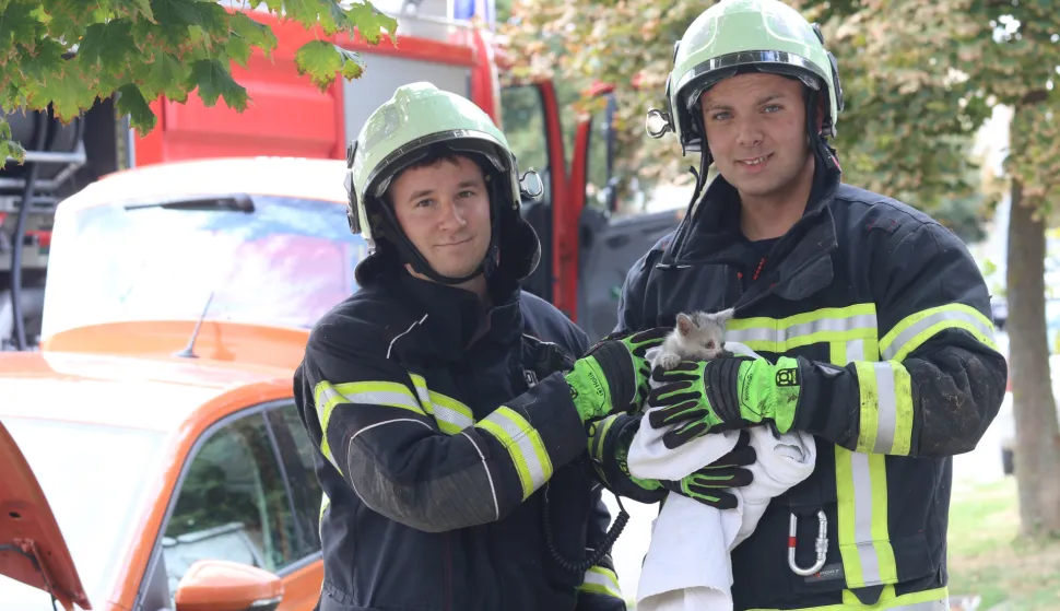 Osijek, 17. 09. 2025, Divaltova ulica oko broja 224... Tehnička intervencija JVP Osijek. Vatrogasci su spašavali malu macu koja se uvukla u podvozije automobila mlade sugrađanke I. G. iz Osijeka. Priča je počela još na ulici Sv. Leopolda Mandića u blizini Inetrspara kada se vozačica zustvila u koloni i jedan sugrananin je pokušao spasiti malu macu s ceste i tom prilikom maca se uvukla u podvozije alutomobila I.G. Zausavljajući se na prkiralištu vozačica je začula mijaukanje koje je dopiralo iz podvozija auta ... Tu su uskočili vatrogasci JVP Osijek i nakon uspješne akcije spasili malu macu koju je na kraju udomila jedna anonimna ali humana osječanka.....Nakon sati i pol ratavljanja podvozija automobila i pokušaja istjerivanja vodom male mace. Akcija je okončana happy endom.snimio GOJKO MITIĆ