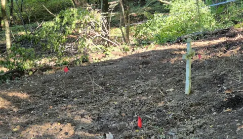Novi Marof, 18.9.2025. - Ministar hrvatskih branitelja i potpredsjednik Vlade Tomo Medved obišao je u četvrtak lokacije iskapanja žrtava poraća Drugog svjetskog rata na području Kipišća kod Novog Marofa. Tijekom posljednjih desetak dana na tim su lokacijama pronađeni posmrtni ostaci 36 žrtava. foto HINA/ Siniša KALAJDŽIJA/ sk
