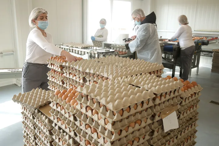 09.03.2021., Ivanic-Grad - Predsjednik Vlade Andrej Plenkovic, u pratnji zupana Stjepana Kozica i ministrice Marije Vuckovic posjetio je novu farmu kokosi nesilica Lukac d.o.o. u Derezanima. Marijan Lukac sa suprugom Marijom upoznao je premijera sa svojom obiteljskom firmom i proveo ga kroz pogon. rPhoto: Goran Stanzl/PIXSELL