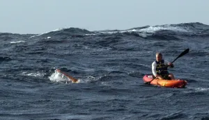 Split/Havaji, 29.08.2018 - Hrvatska dugoprugaka plivačica Dina Levačić u utorak je tijekom preplivavanja 42 kilometra Molokai kanala u havajskom akvtaoriju vidjela morske pse, a upala je i u skupinu meduza koje su je "dosta opekle," izvijestili su u srijedu njezini roditelji eljana i Mladen Levačić koji su bili na pratećem brodu. foto HINA/ Mladen Levačić/ ds