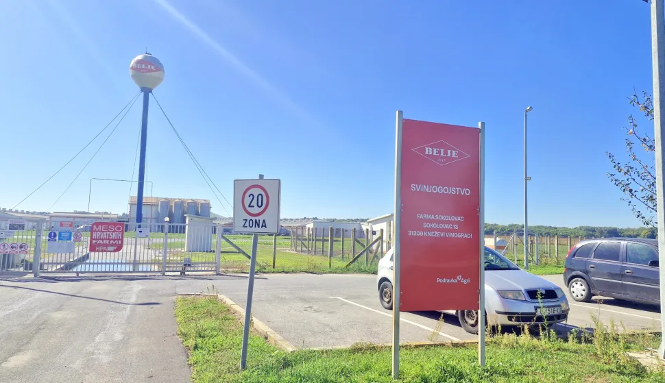Svinjogojska farma Sokolovac - Belje plus
