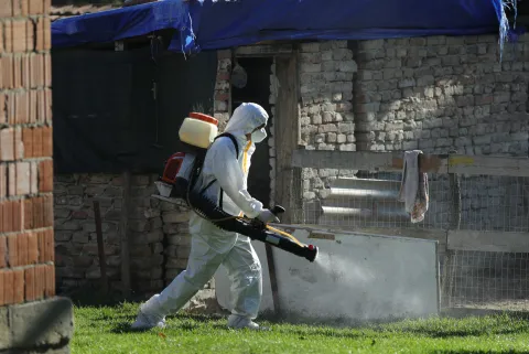 19.09.2025., Vardarac - Odvoz svinja zbog afričke kuge. Brojne eutanazirena svinje su odvedene, a prostor gdje su se nalazile je dezinficiran Photo: David Jerkovic/PIXSELL