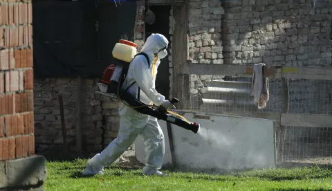 19.09.2025., Vardarac - Odvoz svinja zbog afričke kuge. Brojne eutanazirena svinje su odvedene, a prostor gdje su se nalazile je dezinficiran Photo: David Jerkovic/PIXSELL