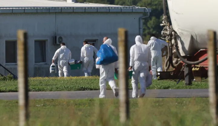 22.09.2025., Sokolovac - Pripreme i osiguranje farme svinja zbog pocetka usmrcivanja zarazenih svinja africkom svinjskom kugom. Photo: Davor Javorovic/PIXSELL