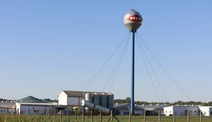 22.09.2025., Sokolovac - Pripreme i osiguranje farme svinja zbog pocetka usmrcivanja zarazenih svinja africkom svinjskom kugom Photo: Davor Javorovic/PIXSELL