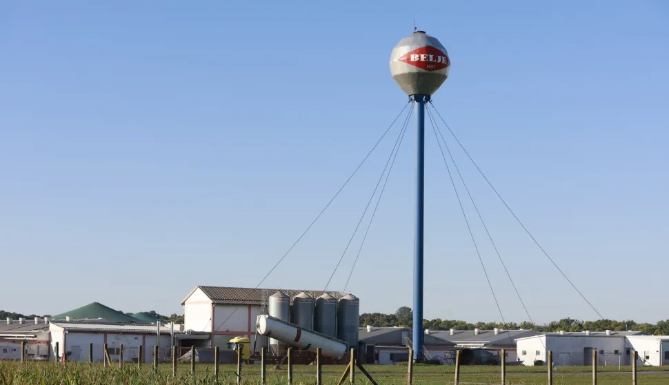 22.09.2025., Sokolovac - Pripreme i osiguranje farme svinja zbog pocetka usmrcivanja zarazenih svinja africkom svinjskom kugom Photo: Davor Javorovic/PIXSELL