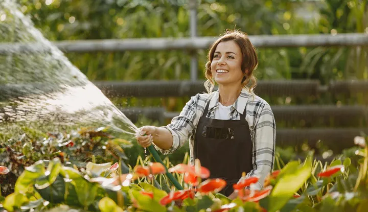 Što sve valja poduzeti u vrtu prije nego što zahladi