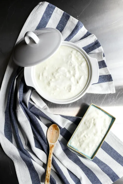 jogurt jogurt