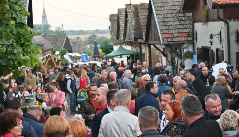 17. VINSKI BOR MARATON