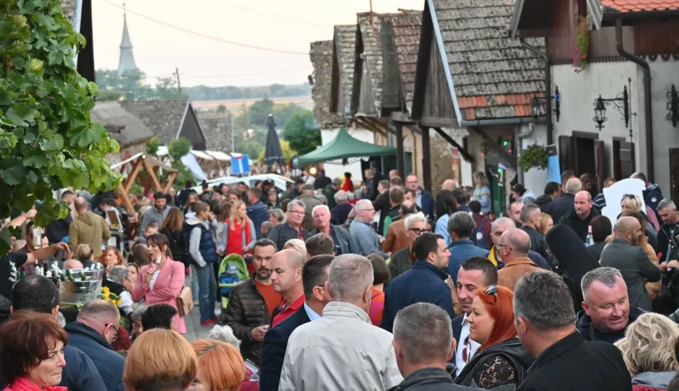 17. VINSKI BOR MARATON