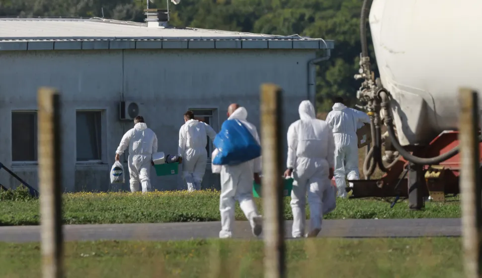 22.09.2025., Sokolovac - Pripreme i osiguranje farme svinja zbog pocetka usmrcivanja zarazenih svinja africkom svinjskom kugom. Photo: Davor Javorovic/PIXSELL