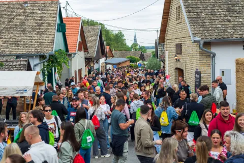 Vinki maraton Zmajevac 2025.