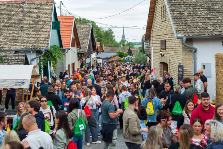 Vinki maraton Zmajevac 2025.