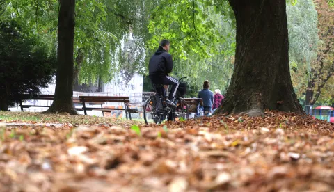 Osijek, 24. 09. 2025., Sjenjak, slobodnjak, slobodnjaci, jesen; boje jeseni; jutarnji đir po Sjenjaku; biciklist; biciklistiSNIMIO BRUNO JOBST