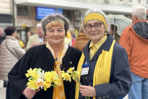 Osijek, 25. 03. 2023, Trg A. Starcevica, Dan narcisa, rano otkrivanje raka dojke, MAMMAE - klub zena ljecenih na dojci, HZJZ, Lions club Gea, SNIMIO BRUNO JOBST