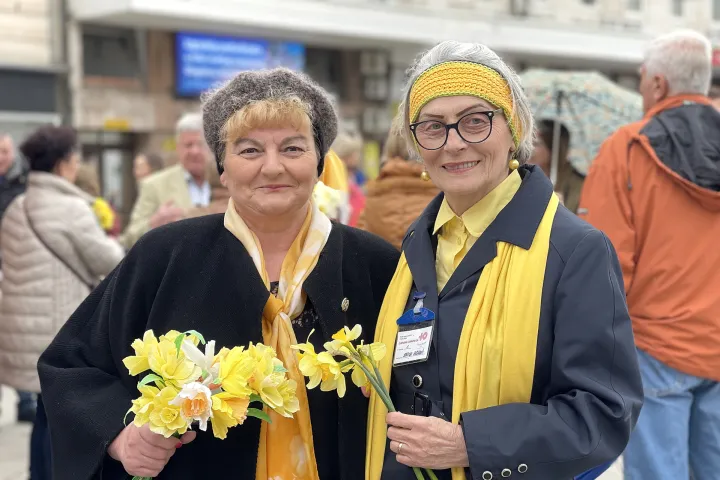 Osijek, 25. 03. 2023, Trg A. Starcevica, Dan narcisa, rano otkrivanje raka dojke, MAMMAE - klub zena ljecenih na dojci, HZJZ, Lions club Gea, SNIMIO BRUNO JOBST