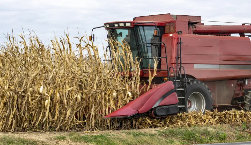 A red harvesting machine on a corn farmkukuruz freepik