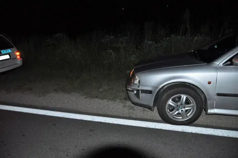 Nalet na životinju