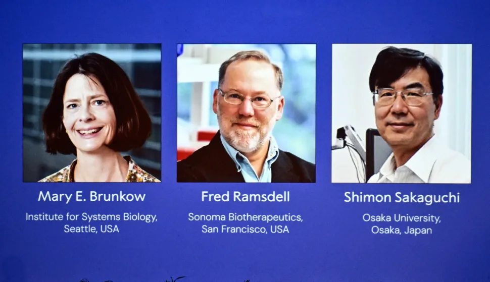 epa12434524 The recipients of the 2025 Nobel Prize in Physiology or Medicine, (L-R) Mary E. Brunkow, Fred Ramsdell and Shimon Sakaguchi, for their discoveries concerning peripheral immune tolerance are announced by the Nobel Assembly at the Karolinska Institute, in Solna, Stockholm County, Sweden, 06 October 2025. EPA/CLAUDIO BRESCIANI/TT SWEDEN OUT
