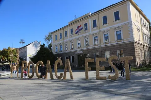 Pogača fest