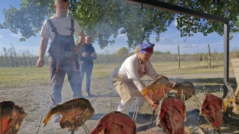 Mjesec baranjske kuhinje 2025. - OPG Stipino Čeminac, &scaron;aran na ra&scaron;ljama
