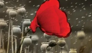 Hrvatski “Trainspotting” koji ne štedi baš nikoga