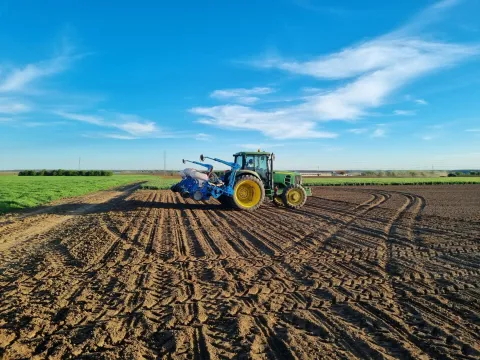 BARANJA - SJETVA KUKURUZA, TRAVANJ 2024.POLJE, NJIVA, ZEMLJA, ORANICA