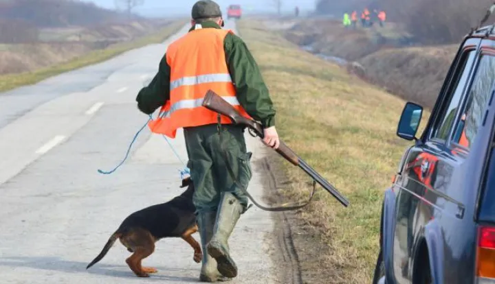 07.02.2016., Davor - Lovci u akciji odstrela cagljeva koji su se zadnjih godina nekontrolirano namnozili i unistavaju svu divljac, srne, kosute, zeceve, a nerijetko se priblizavaju i seoskim dvoristima u potrazi za hranom i love domace zivotinje. Lovci se pribojavaju da bi copori cagalja lako mogli napasti cak i ljude, djecu, pa je akcija i te kako opravdana. Prije ih na ovom podrucju nije bilo pa pretpostavljaju da su za iznimnmo niska vodostaja Save proteklih godina u potrazi za hranom dosli iz Bosne.Photo: Ivica Galovic/ PIXSELL------kolor 4x novosti