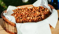 Zimski vašar i Čvarak fest Karanac