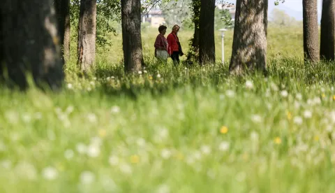 22.04.2020., Zagreb - Ilustracija za Dan planeta Zemlje. Photo: Marin Tironi/PIXSELL.
