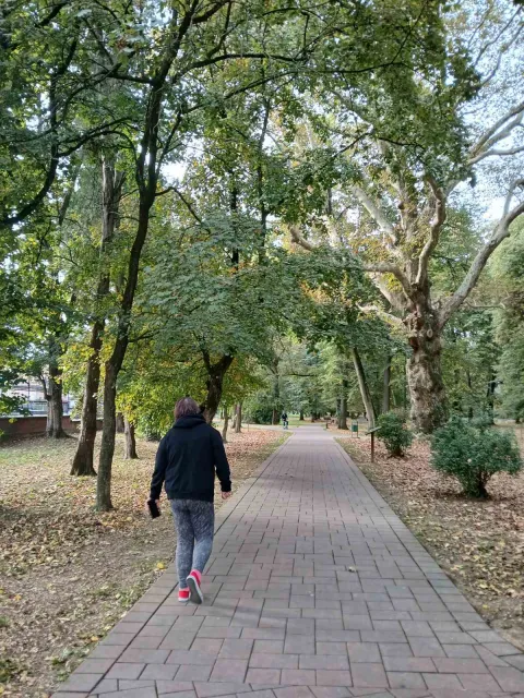 Park &scaron;uma