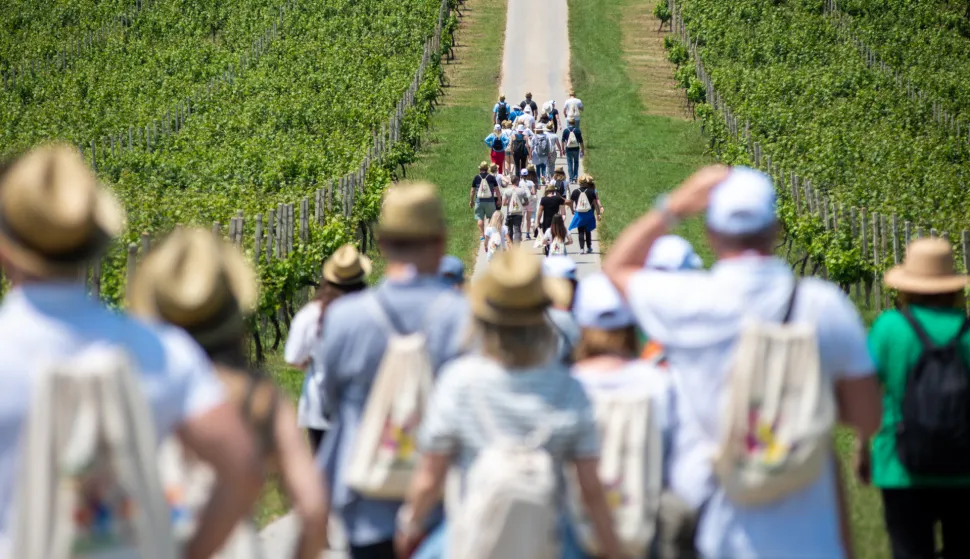 Turistički rast Osječko-baranjske županije: Bit će srušen i lanjski rekord, brojke magične