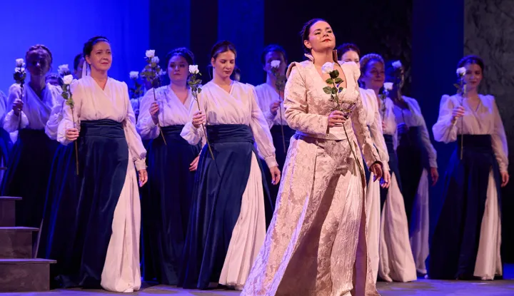 Nikola Šubić Zrinjski HNK u Osijeku 2025.