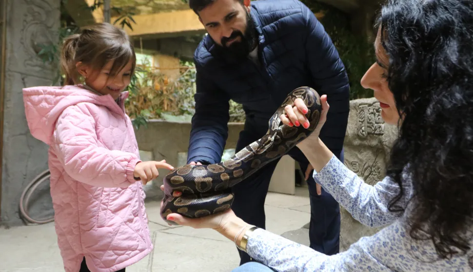 Osijek, 18. 10. 2025, Zoo vrt Osijek, Dan gmazova, radionice.snimio GOJKO MITIĆ