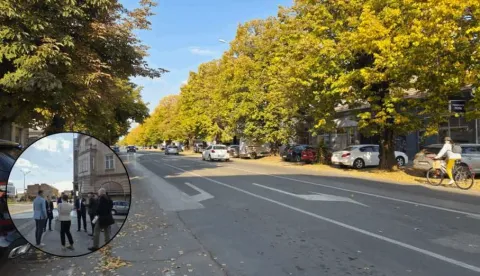 Drvoredi u vinkovačkoj Zvonimirovoj uliciVinkovci, listopad 2025.Ustupljena fotografija