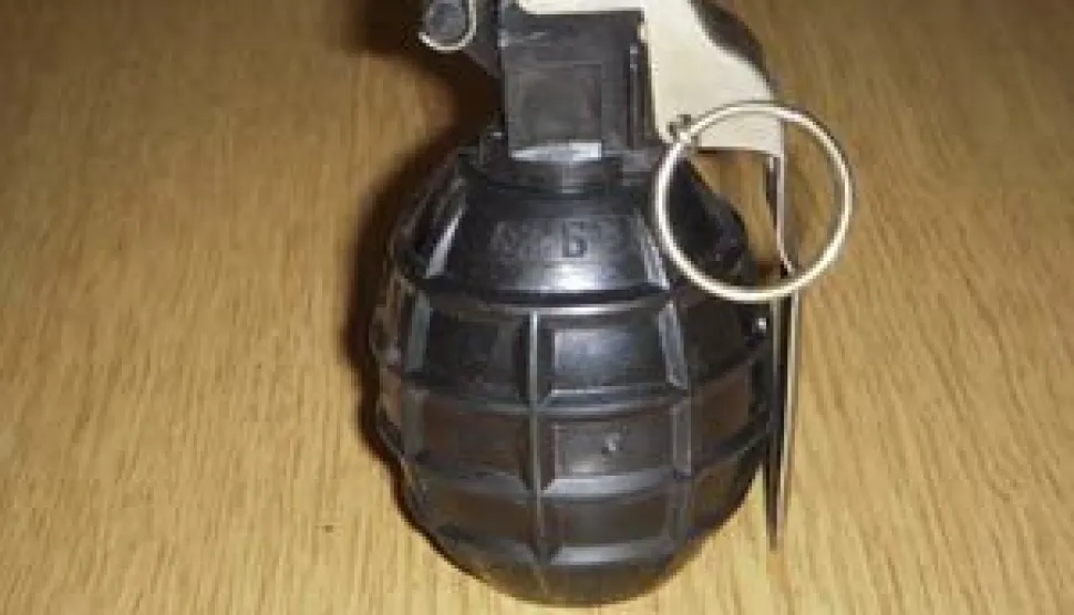 Iskopana ručna bomba u Josipovcu, ilustracija