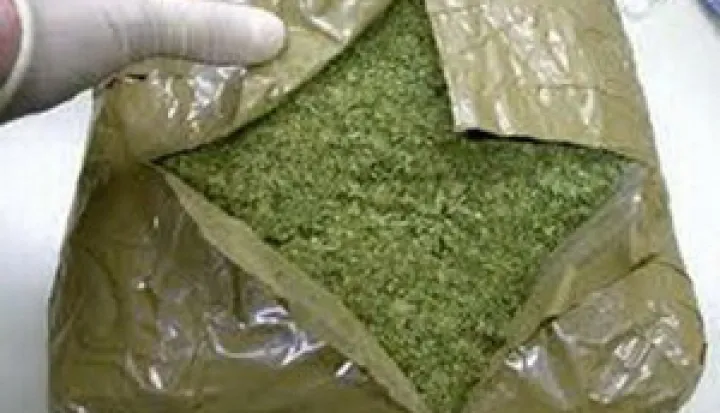 Uzgajali marihuanu u Vukovarsko-srijemskoj županiji, marihuana, droga, zapljena, policija, ilustracija