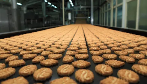 DOMAĆICA KEKS KRAŠ POGON PROIZVODNJA