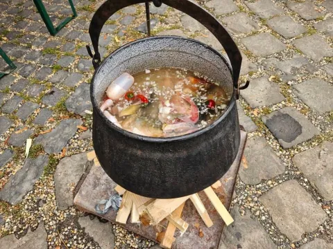 Mladi Baranjci s Dunava skuhali su pobjednički fi&scaron;