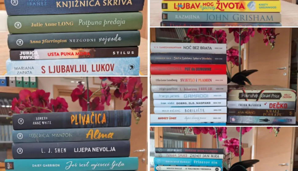 Knjižnica u čepinu - nove knjige 