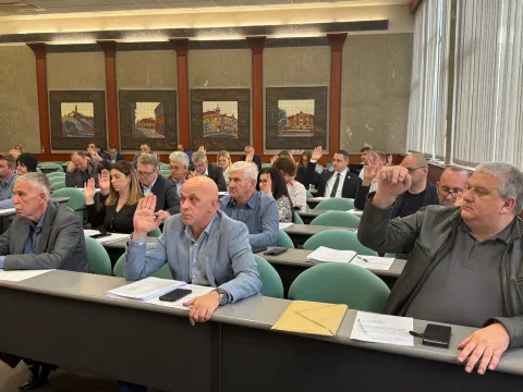 Skup&scaron;tina Vukovarsko-srijemske županije