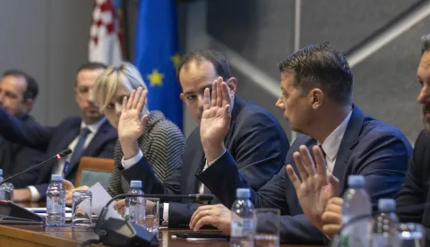 Zagreb, 24.10.2025 - 20. sjednica Odbora za Ustav, Poslovnik i politički sustav. Na fotografiji Ivan Malenica, Saša Đujić. foto HINA/ Daniel KASAP/ dk