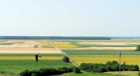 Poljoprivredne površine