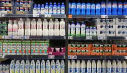 Osijek, 14. 10. 2025, Kaufland Retfala, obilazak Kauflanda pred sutrašnje otvorenje. Trgovina, proizvodi, police, ilustracijasnimio GOJKO MITIĆ