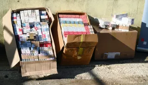 Prgomet- 28.10.2025.-Akcija uni&scaron;tavanja zaplijenjenog duhana i duhanskih prerađevina, kojoj će nazočit pomoćnik ravnatelja Carinske uprave Tihomir Žegrec.foto HINA/ Mario STRMOTIĆ/ms 