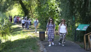 Kopački rit, 02. 07. 2025., Park prirode, Kopački rit, obilazak, kontinentalni turizam, turizam, turisti, turist, ljeto, vrućina, šetnja, prirodaSNIMIO BRUNO JOBST