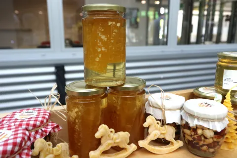 Osijek, 27. 05. 2025, Fakultet agrobiotehničkih znanosti Osijek, FAZOS, Svjetski dan pčela. snimio GOJKO MITIĆ