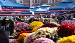 Osijek, 29. 10. 2025., Tržnica Osijek, ponuda cvijeća uoči Svih svetihkrizanteme; tržnica; ponuda; cvijeće; Svi sveti; kupci; kupovina